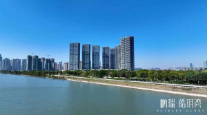 大良鹏瑞皓玥湾为什么贵?深圳湾1号执笔者,打造广佛1号作品