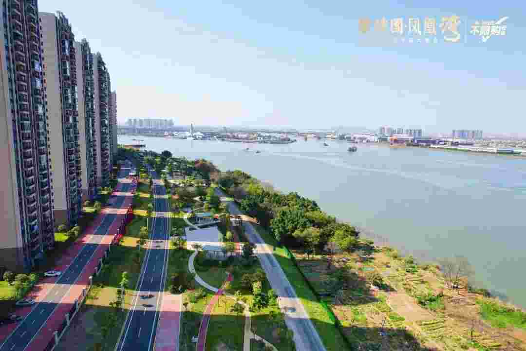 佛山碧桂园凤凰湾最新房价,一口价单位95万起买97㎡