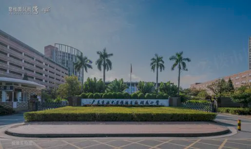 碧桂园凤凰湾学校.png 碧桂园凤凰湾学校.png